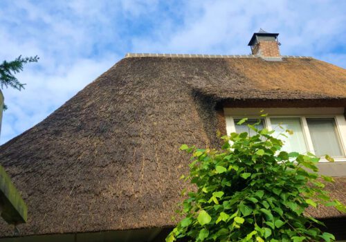 Onderhoud Rieten Dak In Apeldoorn